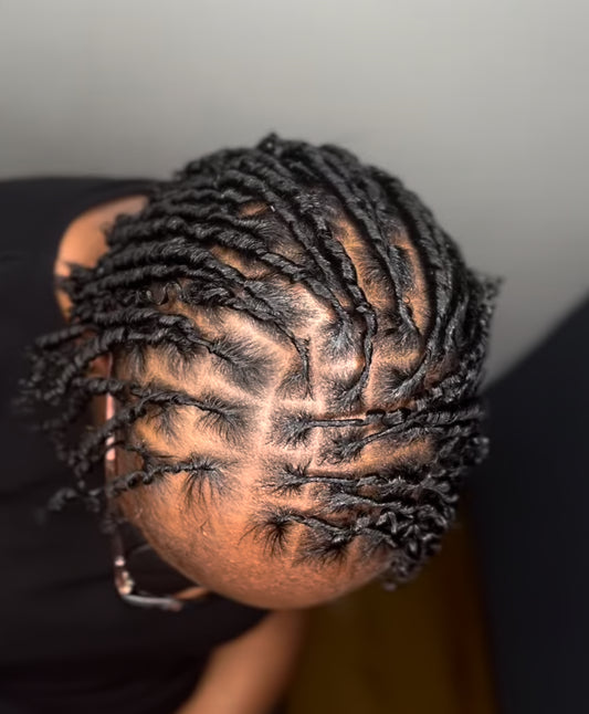 Full Starter Locs